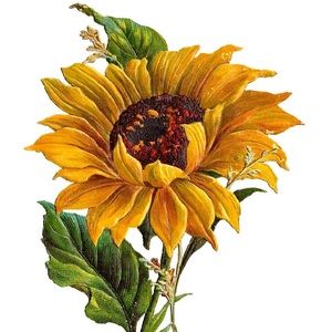 Meet your Posher, Jocelyn